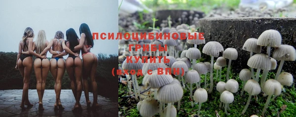 кристаллы Алзамай