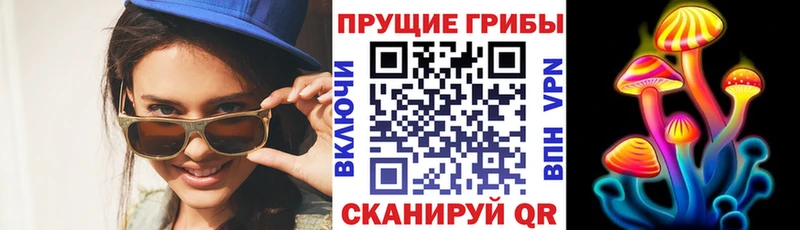 купить наркоту  Нерехта  Галлюциногенные грибы прущие грибы 